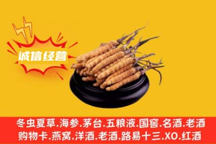 秦皇岛回收冬虫夏草